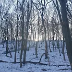 Toparti Idill Vendeghaz * Kisszékely